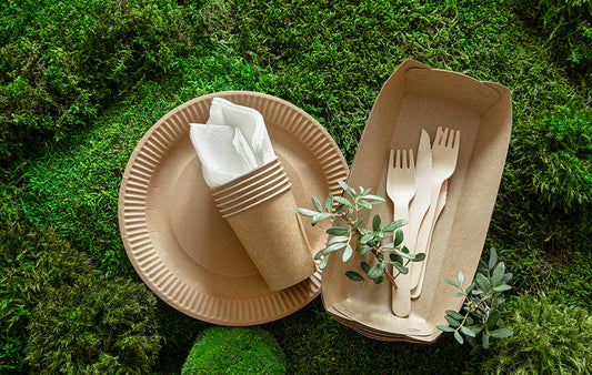 A Complete Guide To Biodegradable And Compostable Utensils